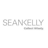 Sean kelly gallery