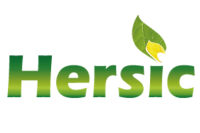 Hersic international