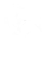 Parkour & Freerunning Austria