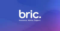 Business risk international consulting, llc (bric)