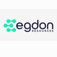 Egdon resources plc
