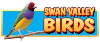 Swan valley birds