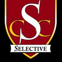 Selective college consulting