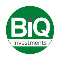 Biq | business consultancy | investments